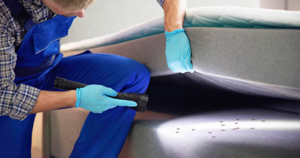 Best Pest Control for Businesses  in Cold Spring, KY