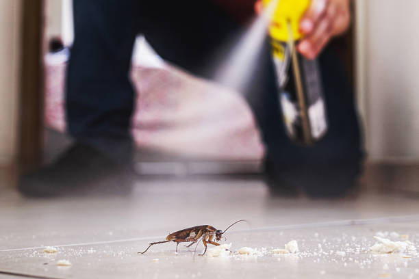 Best Mosquito Control Services  in Cold Spring, KY
