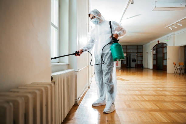 Best Local Pest Control Services  in Cold Spring, KY